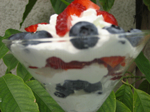 strawberry and blueberrys in whip cream