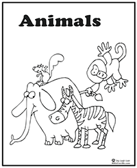 Zoo Animals